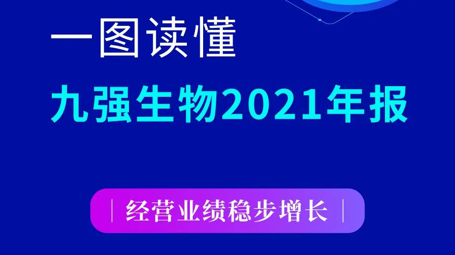 一图读懂开云足球体育（中国）有限公司2021年报