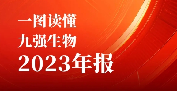 一图读懂开云足球体育（中国）有限公司2023年报