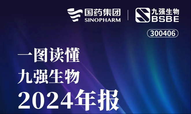 一图读懂开云足球体育（中国）有限公司2024年报